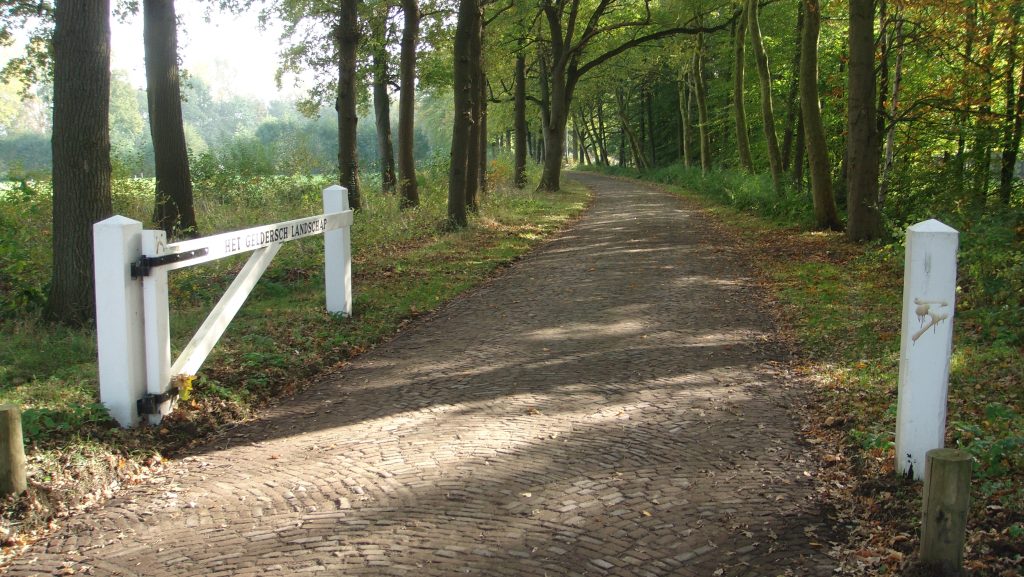 2e Najaarswandeling OV Stapper Zandenbos (Rondwandeling Nunspeet) 14 km