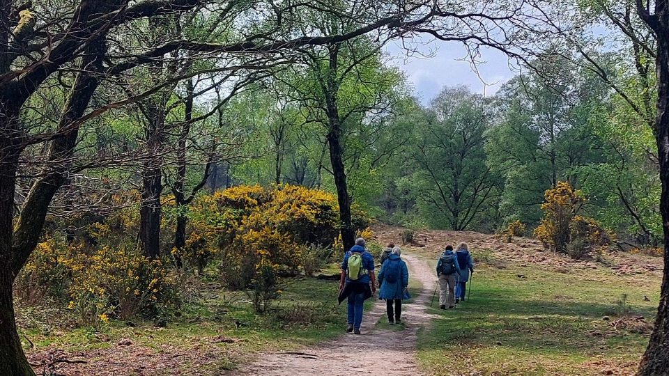 Rondwandeling “Rosandepad” rondom Oosterbeek (13 km) – 16-05-2026