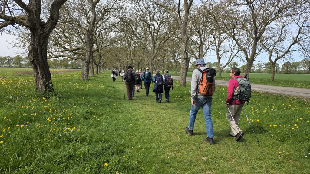 Wandelverslag – Bloesemwandeling Betuwe – 19-04-2025