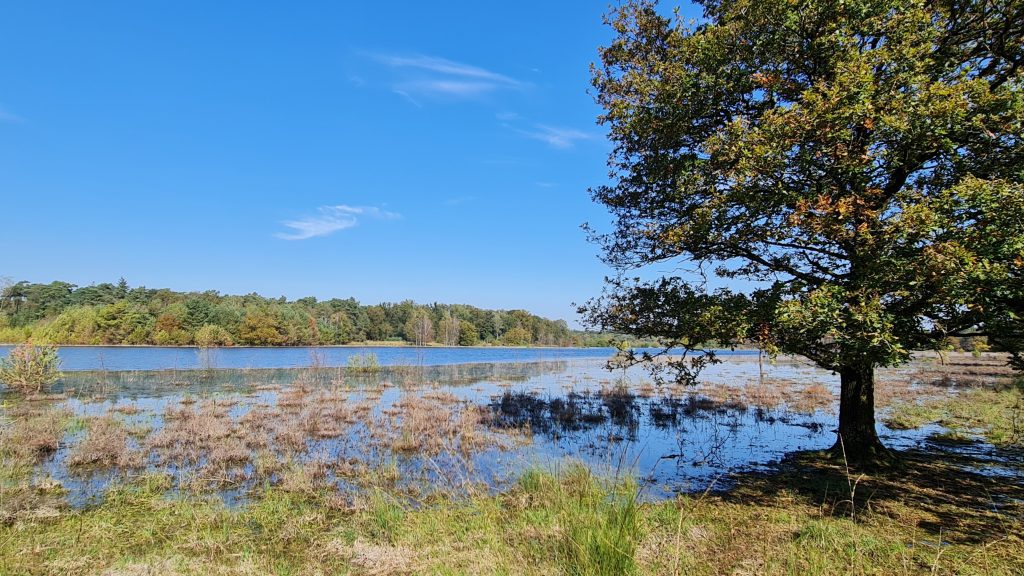 Zaterdagwandeling 24 mei – Trage tocht Leersumse veld en plassen 14,6 km.