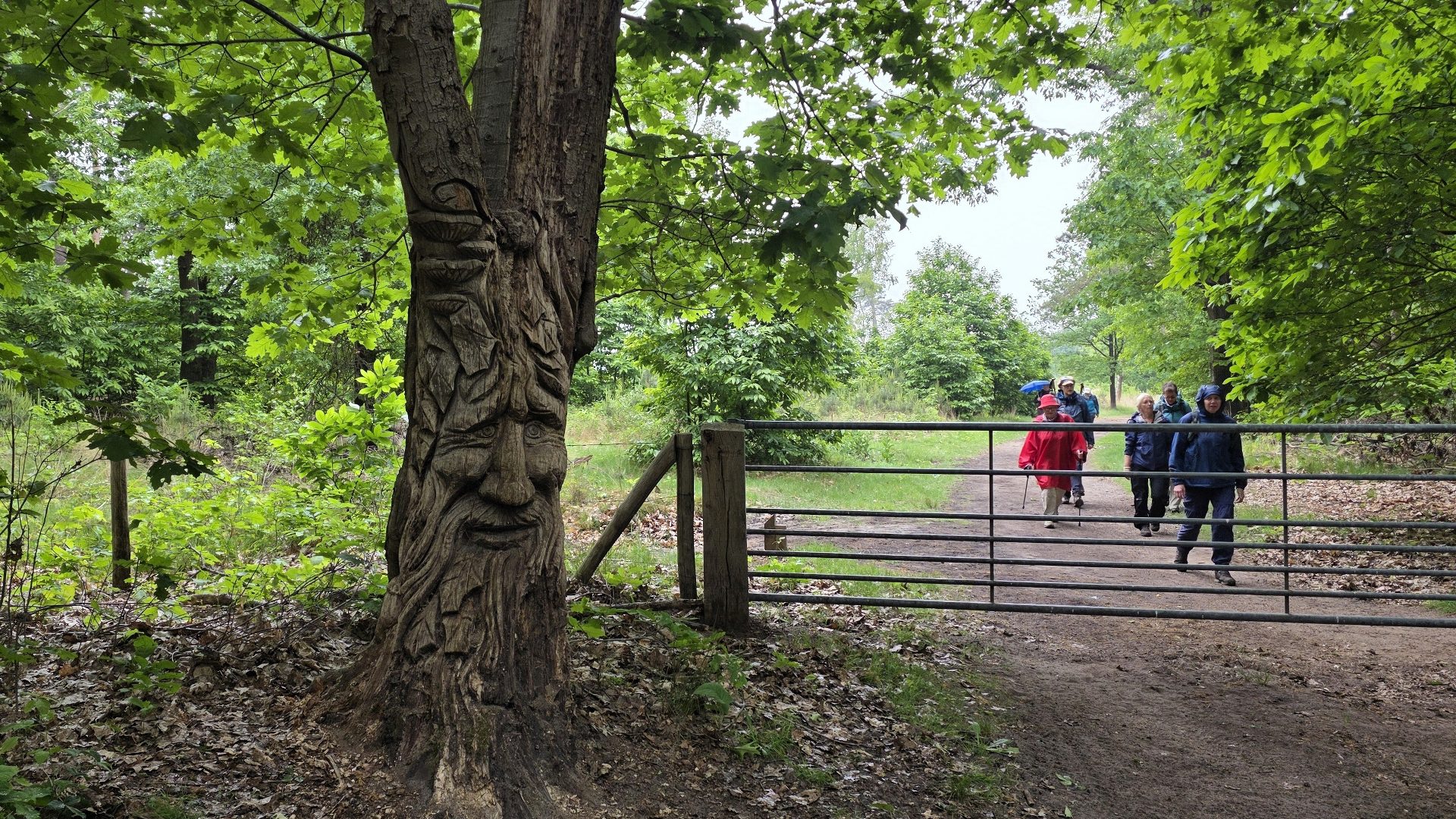 Wandelverslag Trage Tocht Leersum – 24-05-2025