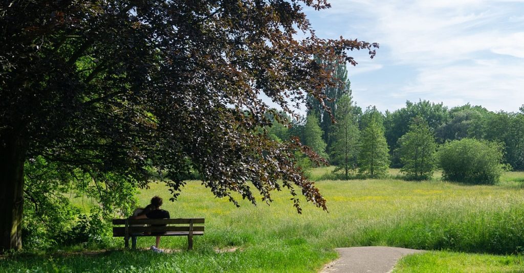De drie parkenwandeling – 08-06-2025