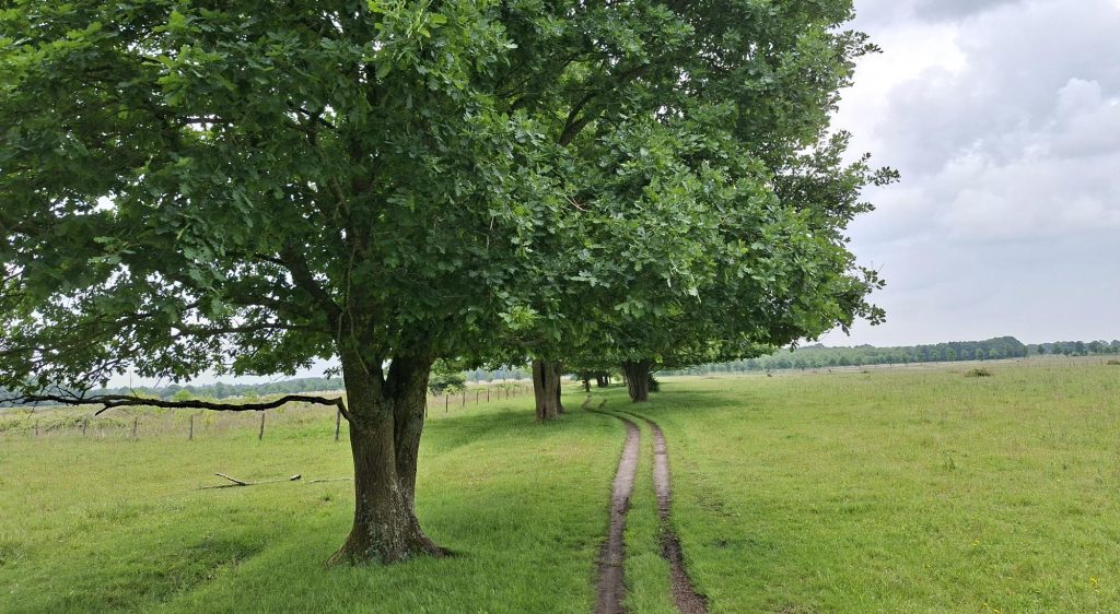 Verslag 2e Voorjaarswandeling &#8211; Trage Tocht Ede-Wageningen &#8211; Wolfheze