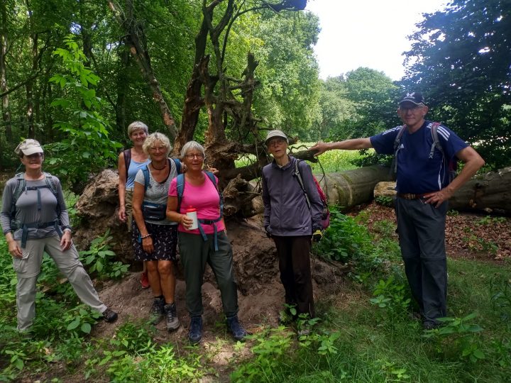 Verslagje midzomerwandeling Nivon Utrecht 13 Juli 2025