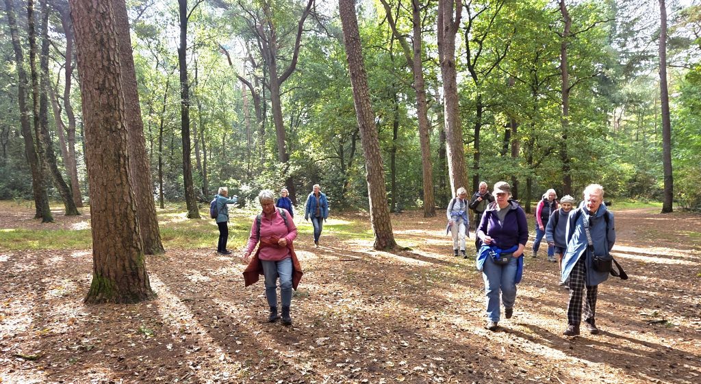 Zaterdagwandeling 26 september. Boswandeleng bij Hoenderloo – 19 km