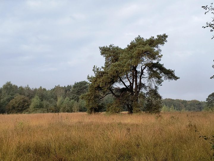 Opnieuw starten van De Nivon Utrecht fotogroep!