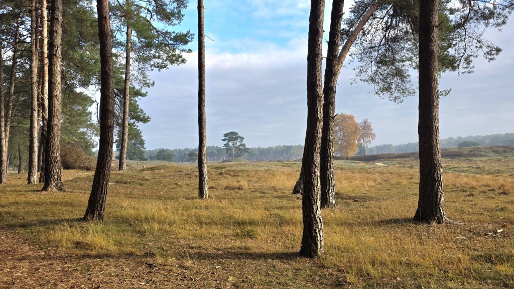 De Traagste Tocht van Den Dolder naar Baarn (16 km)