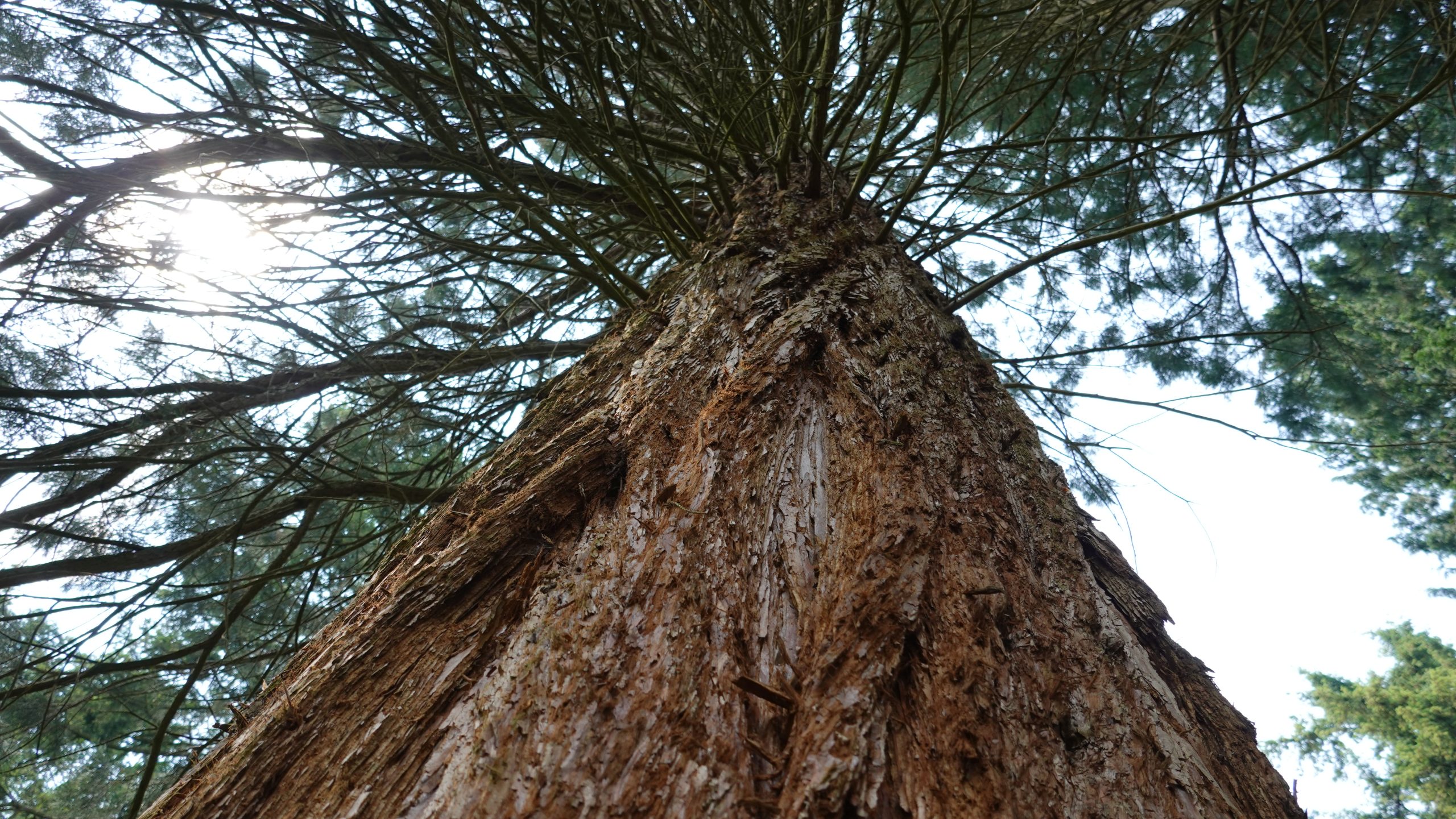 Excursie naar het bomenmuseum in Doorn – 17 maart 2026