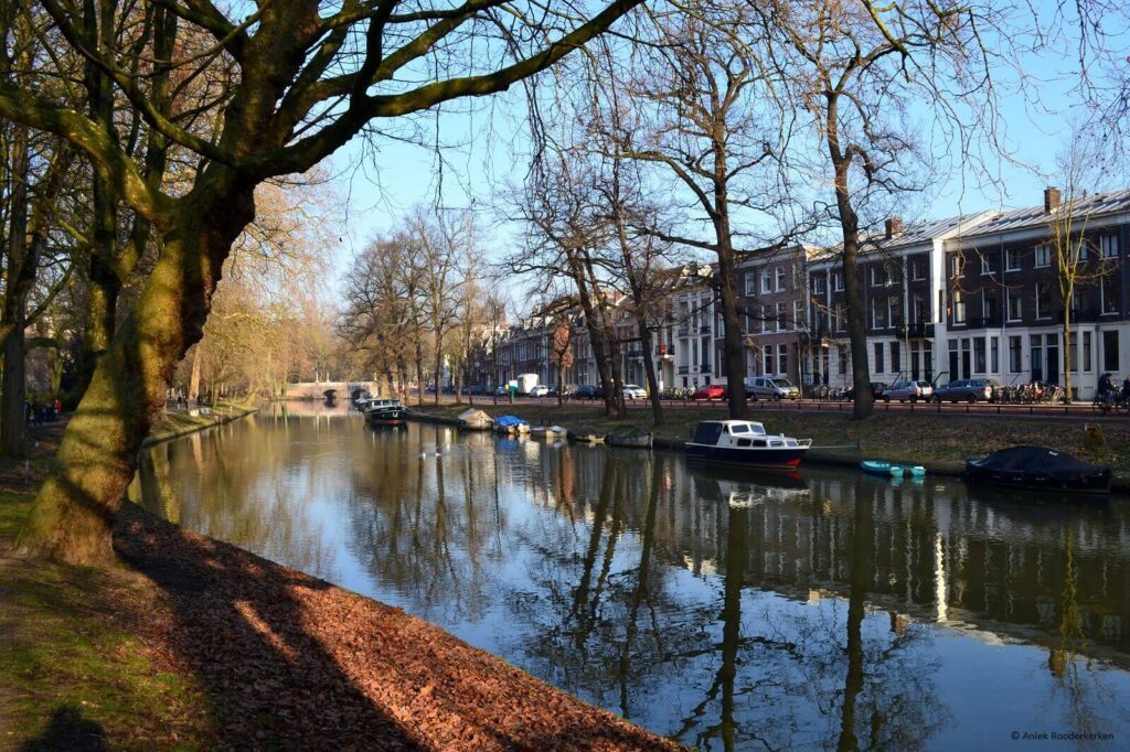 Samen op pad: natuur en cultuur snuiven – Vergroening Singels Utrecht