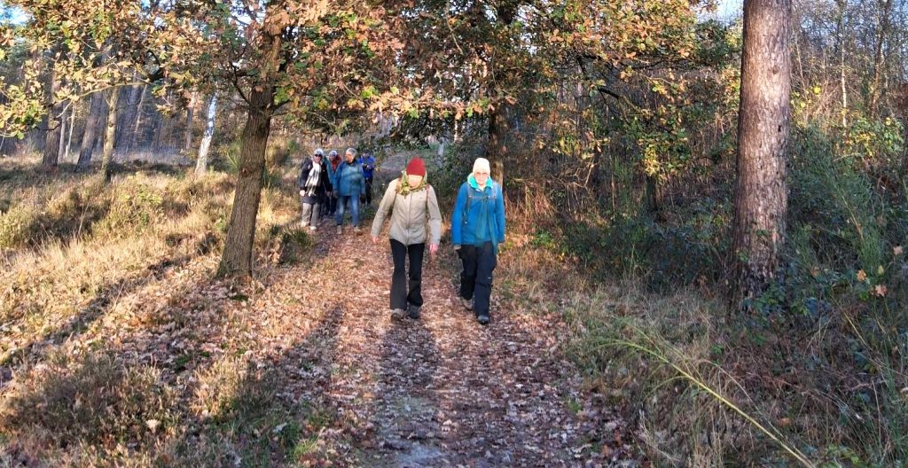 Verslag Traagste Tocht Driebergen- Zeist richting Den Dolder &#8211; 22-11-2025