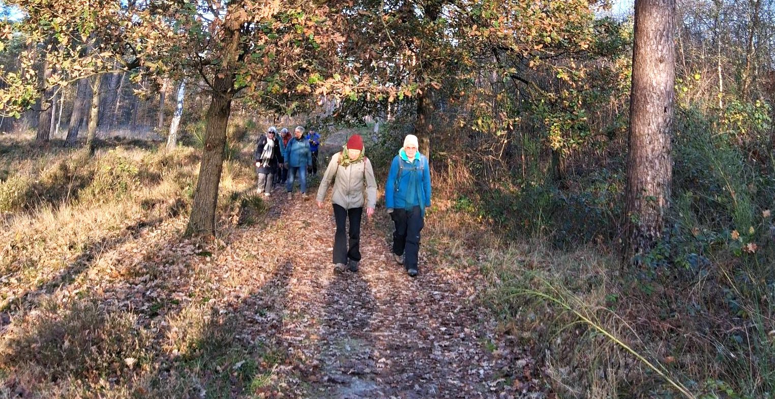 Verslag Traagste Tocht Driebergen- Zeist richting Den Dolder – 22-11-2025