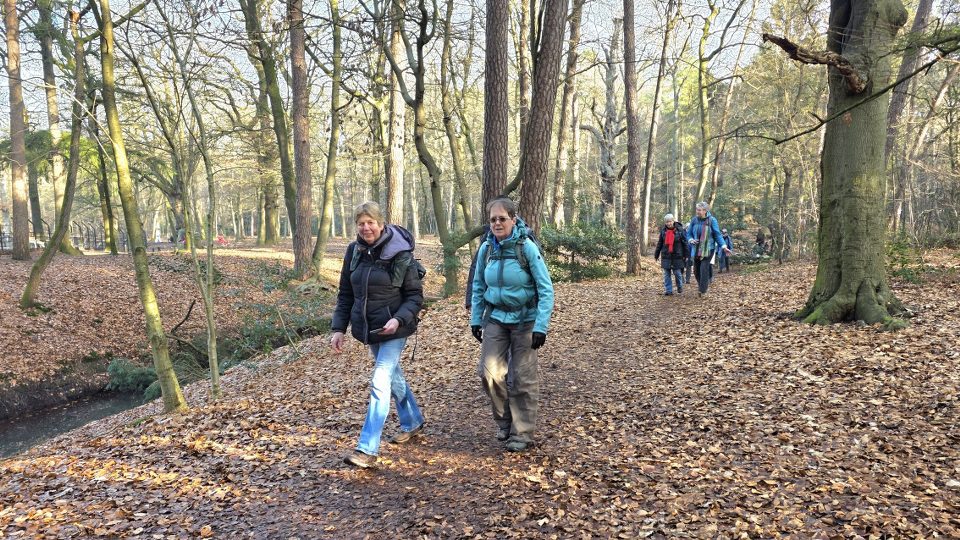 Wandelverslag Trage Tocht Zeist – zaterdag 24-01-2026