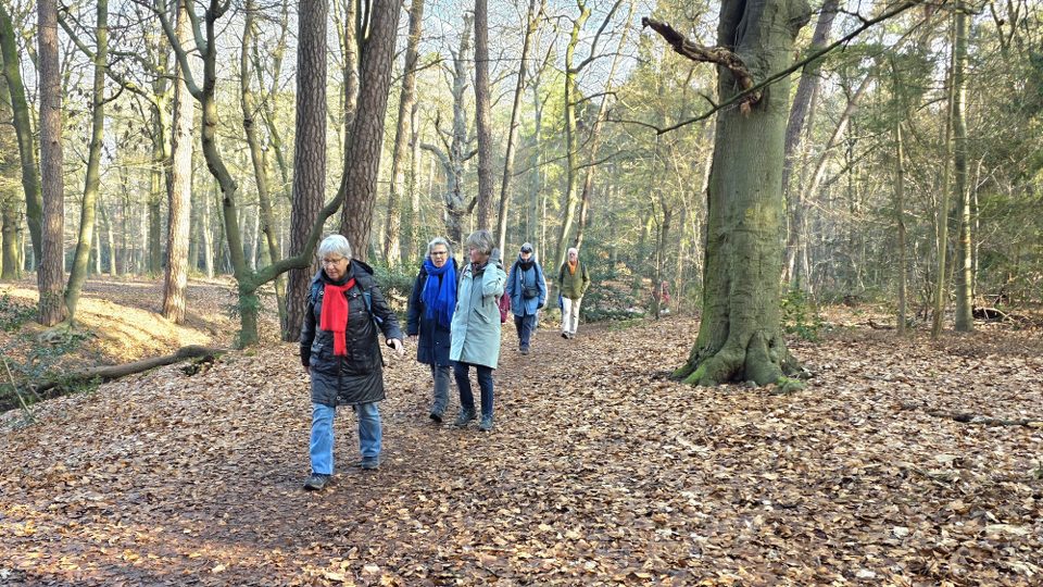 Zaterdagwandeling 27 juni 2026 – Groene Wissel Leersum 328