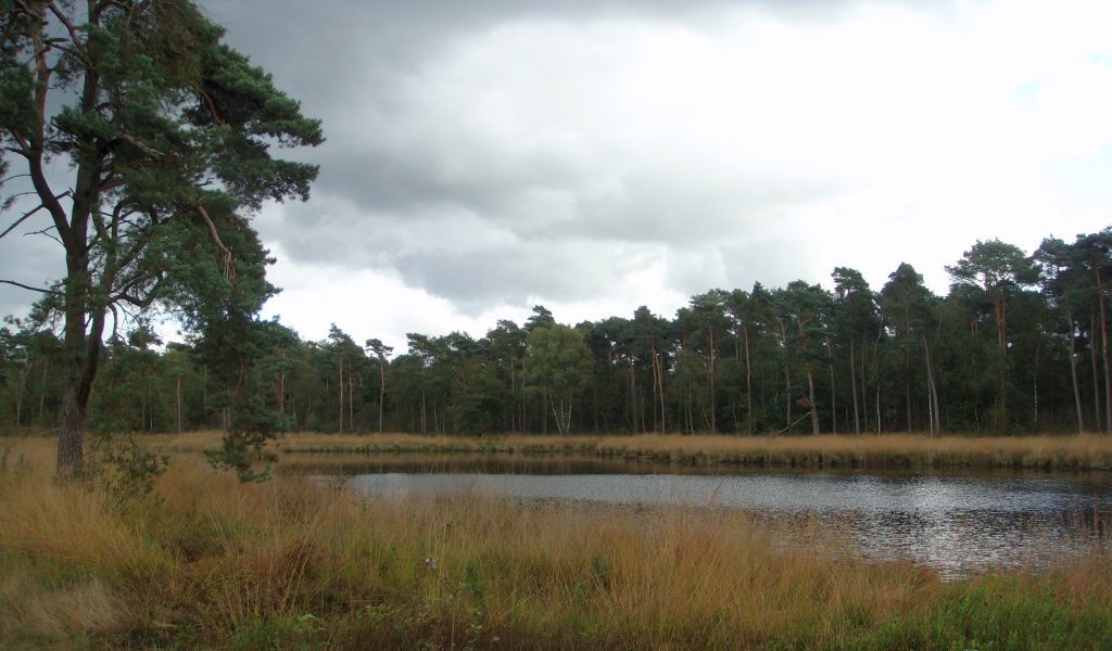 Midwinterwandeling 01-02-2026. Groene Wissel Den Bosch
