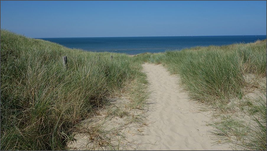 1e voorjaarswandeling 19 april – Groene wissel Zandvoort