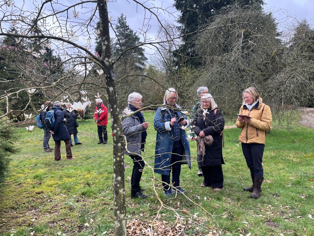 Wandeling 28 november De Traagste Tocht van Baarn naar Bussum (16 km)
