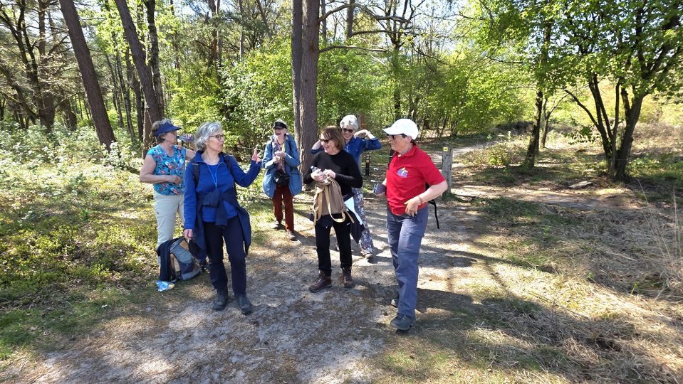Wandeling Den Dolder – Baarn – Traagste Tocht etappe 11