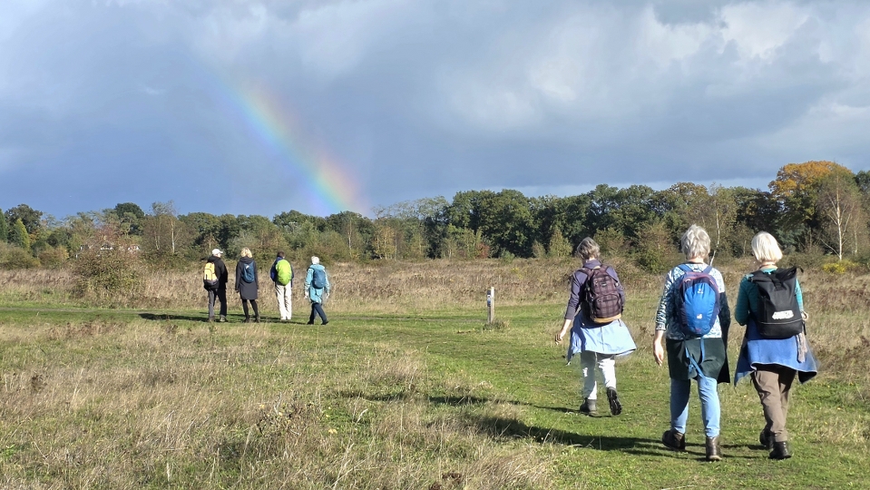 Wandelverslag van de zaterdagwandeling 17 oktober 2026